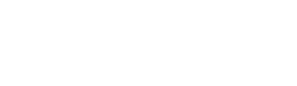 Guardian Consulting