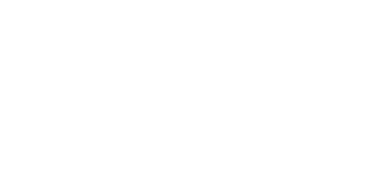 IDEX Consulting