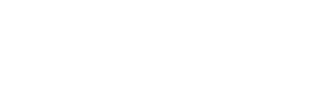 Portfolio Group